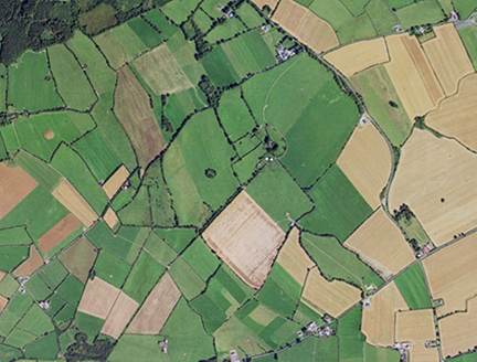 Small aerial image
