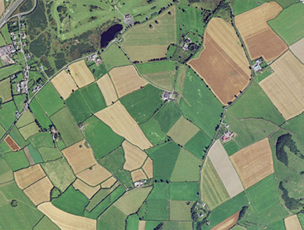 Small aerial image