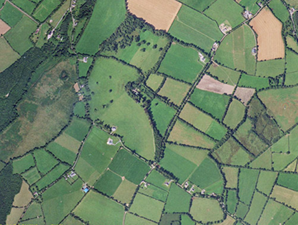 Small aerial image