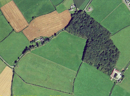 Small aerial image