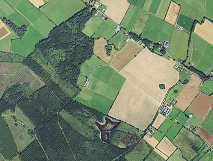 Small aerial image