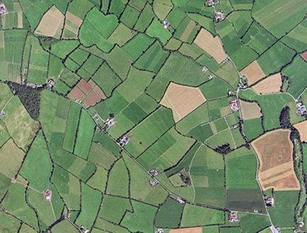 Small aerial image