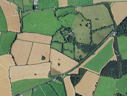 Small aerial image