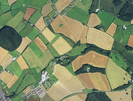 Small aerial image