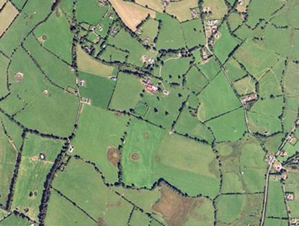 Whiteleas House, South Naas, Ballybought, Whiteleas - Buildings of Ireland