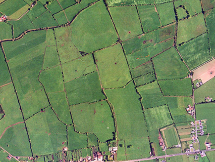 Small aerial image