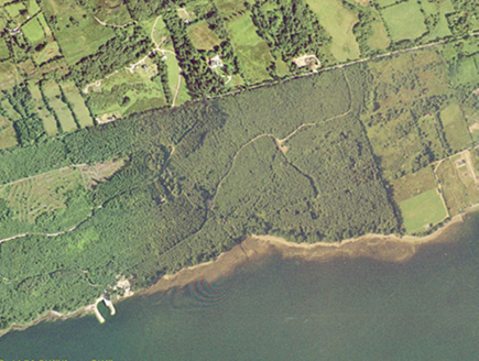 Small aerial image