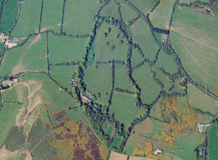 Small aerial image