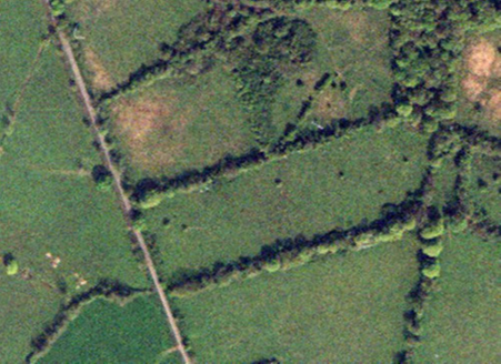 Small aerial image