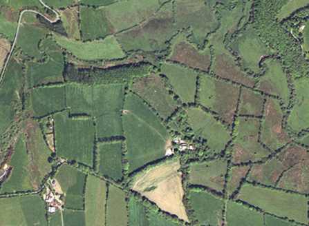 Small aerial image