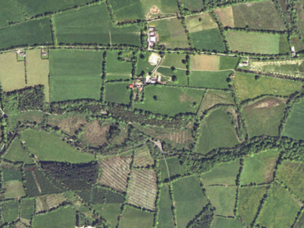 Small aerial image