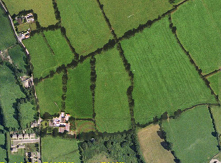 Small aerial image