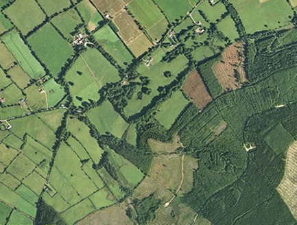 Small aerial image
