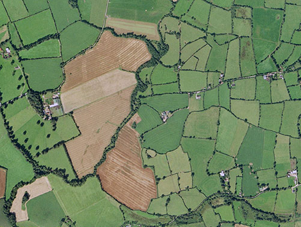 Small aerial image