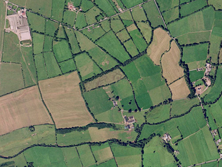 Small aerial image