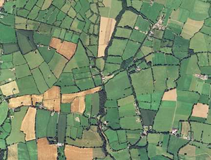 Small aerial image