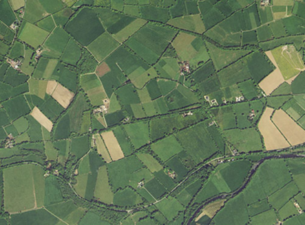 Small aerial image