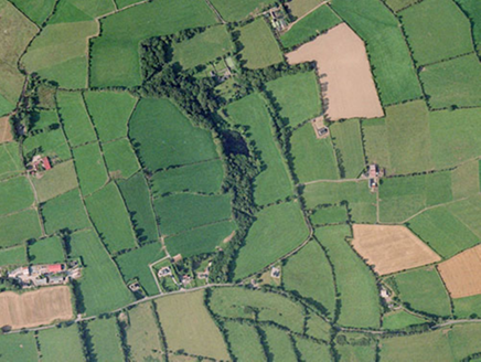 Small aerial image