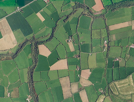 Small aerial image
