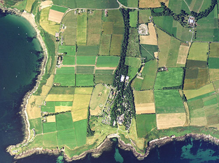 Small aerial image