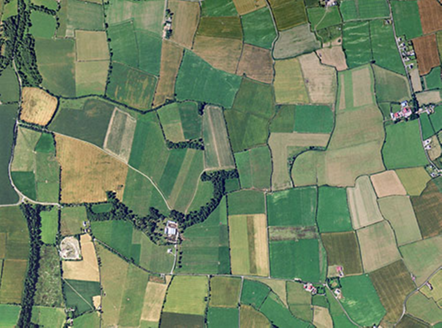Small aerial image