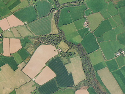 Small aerial image