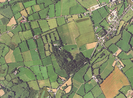 Small aerial image