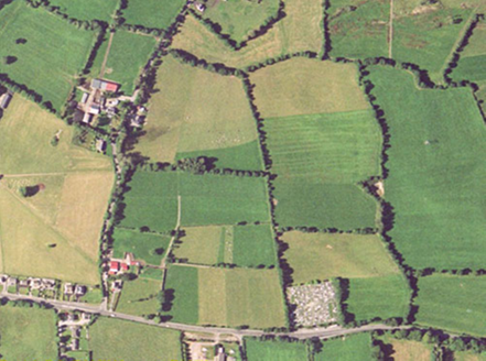 Small aerial image