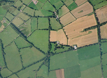 Small aerial image