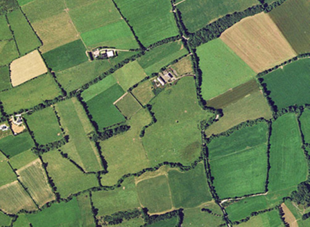 Small aerial image