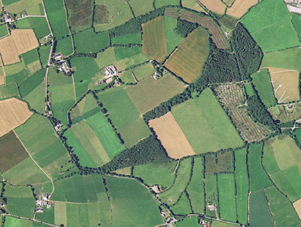 Small aerial image
