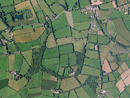 Small aerial image