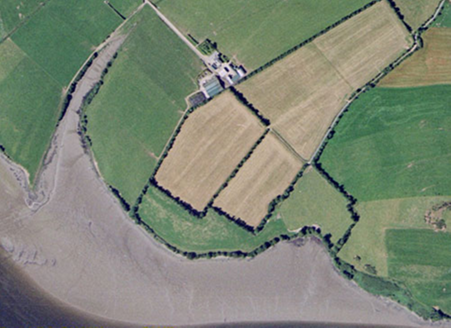 Small aerial image