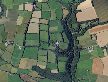 Small aerial image