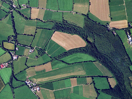 Small aerial image