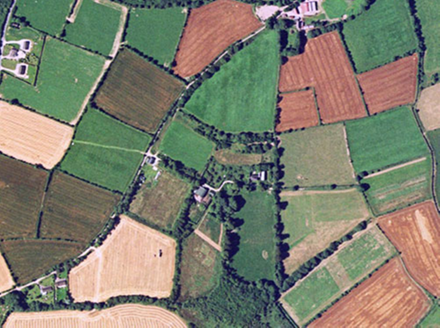 Small aerial image