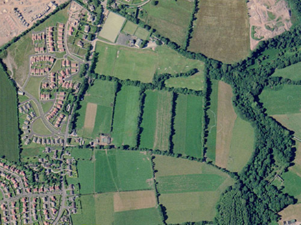 Small aerial image