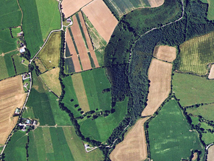 Small aerial image