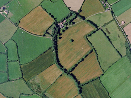 Small aerial image