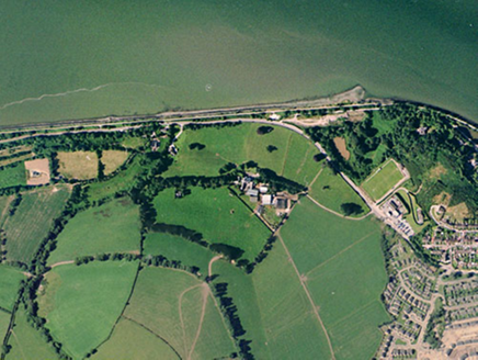 Small aerial image