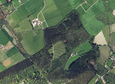 Small aerial image