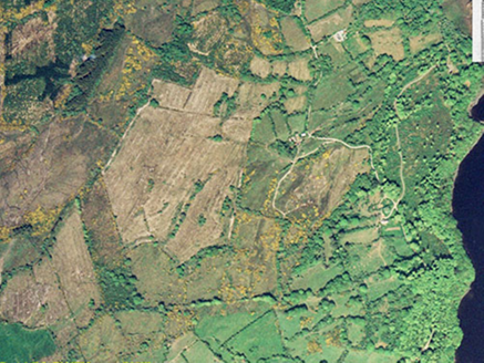 Small aerial image