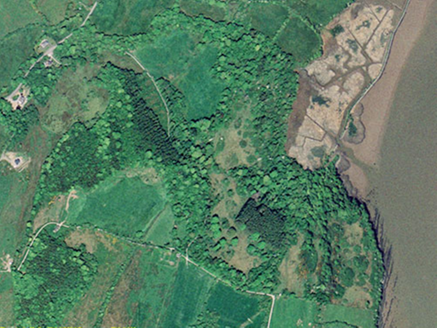 Small aerial image