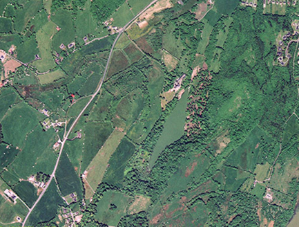 Small aerial image