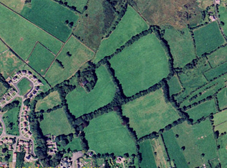 Small aerial image