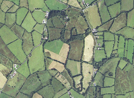 Small aerial image