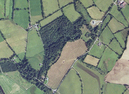 Small aerial image