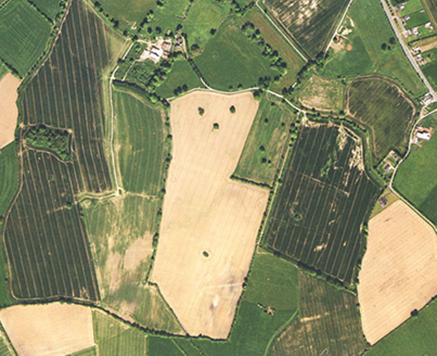Small aerial image