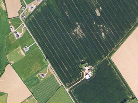 Small aerial image