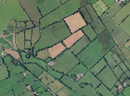 Small aerial image